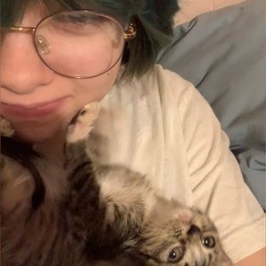 Meet your Posher, Tessa